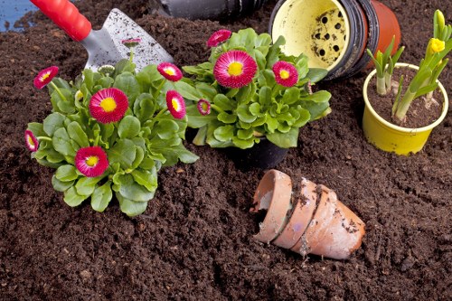 Garden landscaping project in Enfield with new layout and planting areas