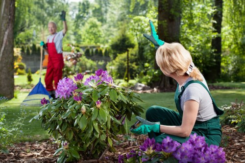 Professional installation process for artificial grass in Enfield