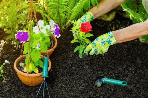 Person planning a landscaped garden in Enfield with plants and paving