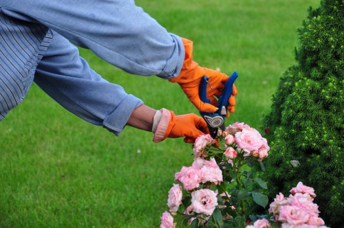 Example of a larger garden clearance and landscaping job in Enfield